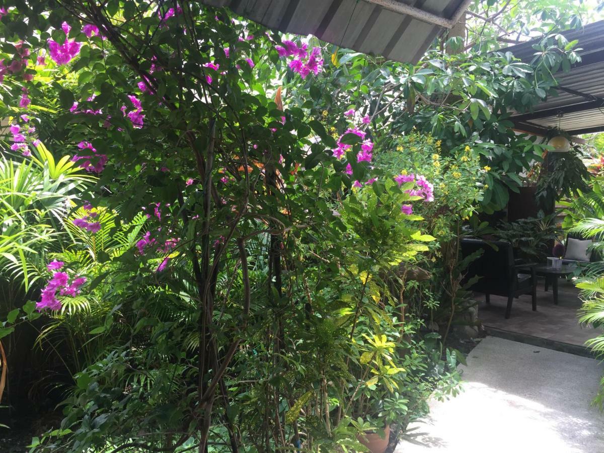 Lemon House Samui Hotel Mae Nam Exterior foto
